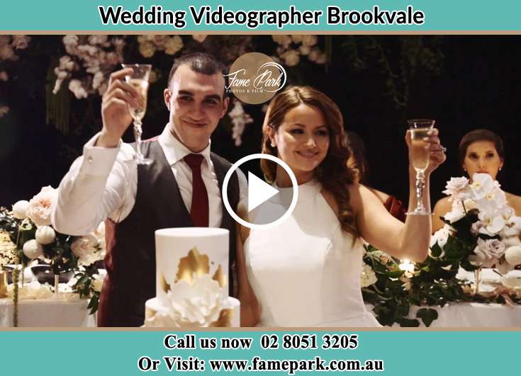 Bride and Groom looking at their while making a toast Brookvale NSW 2100