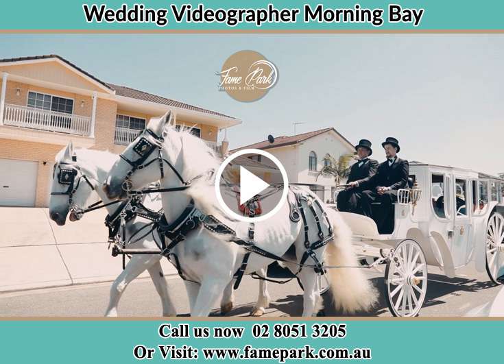 The wedding carriage Morning Bay NSW 2105